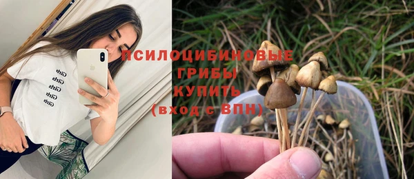 MDMA Premium VHQ Алзамай
