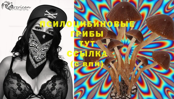 Альфа ПВП Алексеевка