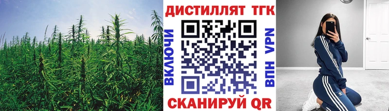 OMG онион  Андреаполь  ТГК вейп с тгк 