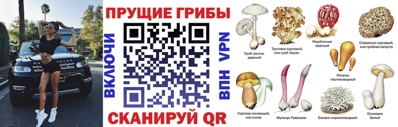 цены   Андреаполь  Галлюциногенные грибы мицелий 